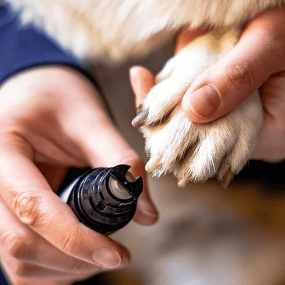 Dayscape™ - Silent Nail Grinder